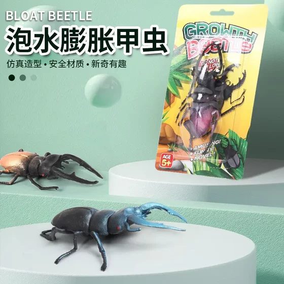 
Direct selling water-absorbing swelling beetle children's cognitive toy insect simulation model educational toy simulation beetle EVA