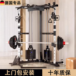 Multi-Functional Home Gym Equipment: Gantry Rack, Birdcage Machine, Squat and Bench Press Rack