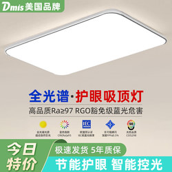 American Led Modern Minimalist Atmospheric Living Room Lamp Room Bedroom Rectangular Hall Package Dining Room Ceiling Lamp 2