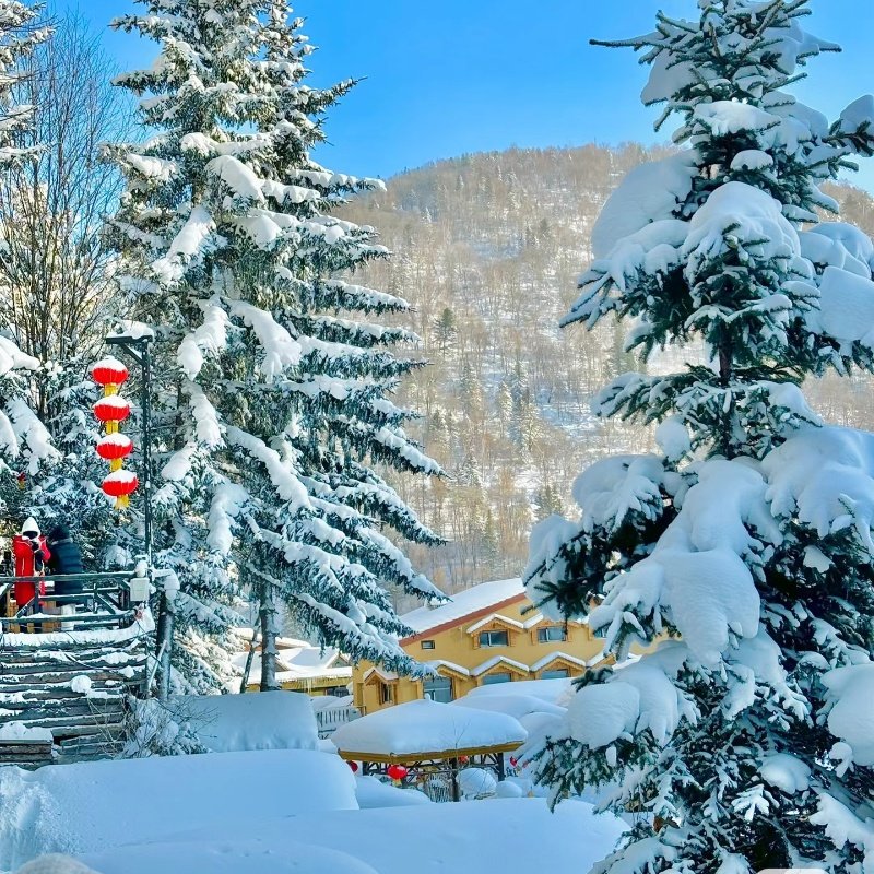 亚布力雪乡2日游|滑雪+雪地摩托+马拉爬犁+土匪互动抢亲+二人转