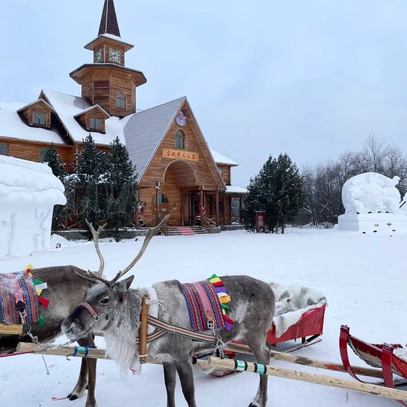 东北畅玩10日哈尔滨漠河最北点雪乡长白山天池魔界漂流+雪岭延吉