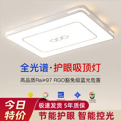 2025 New Model Led Ceiling Light for Room, Bedroom, Living Room, Hall, Modern Simple and Elegant Zhongshan Lighting Fixtures 2