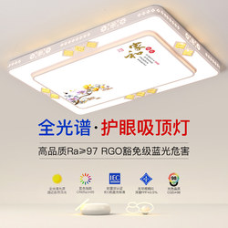 2025 New Model Led Ceiling Light for Room, Bedroom, Living Room, Hall, Modern Simple and Elegant Zhongshan Lighting Fixtures