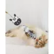 Cáo đuôi gây cười mèo dính đồ chơi mèo sang trọng lông vũ bền chống nhàm chán hiện vật chuông gỗ chuông răng mài thú cưng Đồ chơi đuôi cáo