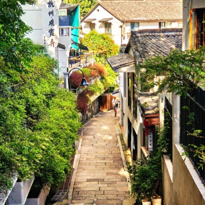 【12人小团】杭州深度3日游|解锁西湖南北线|灵隐|浙博|岳王庙