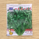 Coriander seeds, four seasons, vegetable seeds, garden planting, farmhouse small leaf coriander seeds high yield