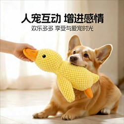 Dog Toy Self-Entertainment Boredom-Relief Gadget for Puppies, Durable Chew-Resistant Plush Toy, Pet Squeaky Toy to Expend Energy