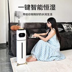 Large-Capacity Humidifier, Small Size, Suitable for Pregnant Women and Infants, Quiet for Home Use, Bedroom Floor-Standing Air Conditioner, Mist Volume, Living Room Spray