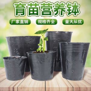 Nutrition Cup Nursery Potcasiers Burning Practicing Cup Radion Cup Nourishing Box Nutrition Bowl nutrition bag Thickened plastic disposable flower pot