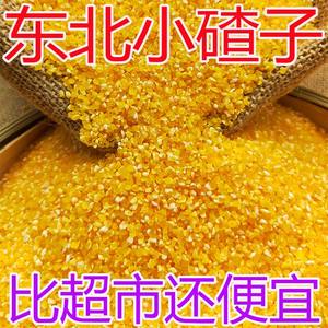2025 fine corn grill new goods small grain corn grill Shaanxi corn grilled slag peeled corn crushed corn grains
