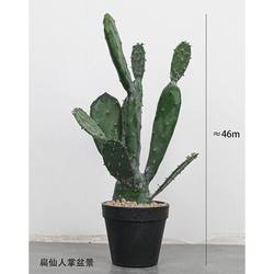 Simulated cactus large tropical fake plants Nordic cactus column fake green plants indoor scene window decoration ornament