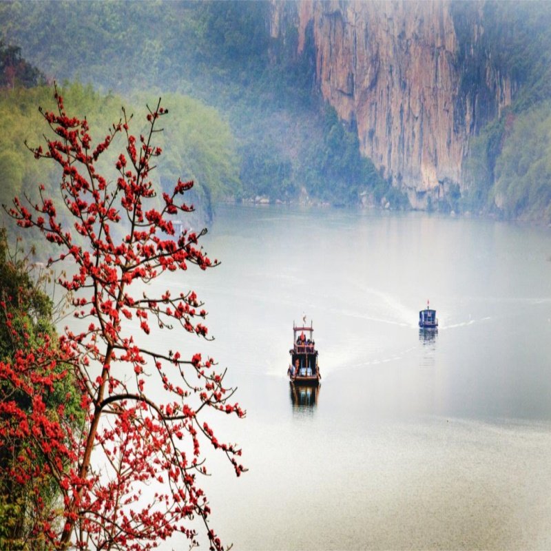 南宁出发崇左德天瀑布+明仕+通灵+鹅泉+河池巴马双百3天2晚私家团