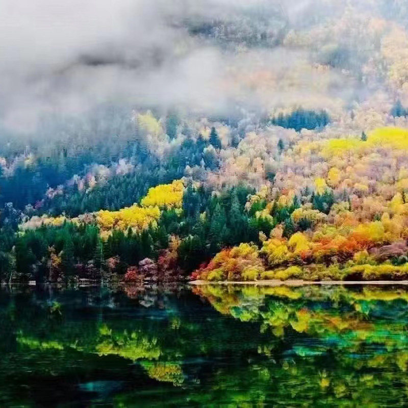 成都出发童话世界九寨沟+黄龙错峰3日游 动车往返出行 睡醒再游玩