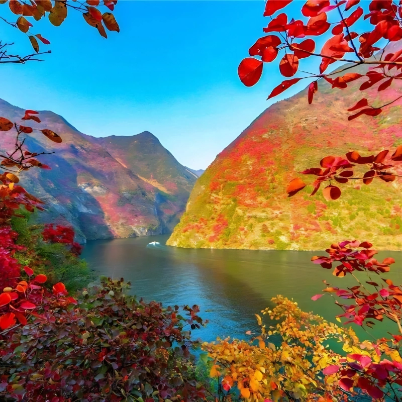 三峡醉美红叶丨奉节+巫山3天包车省心游 白帝城 三峡之巅 小三峡