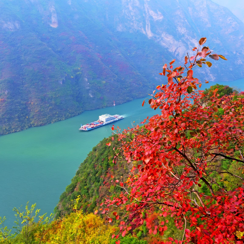 三峡醉美红叶丨奉节+巫山3天包车省心游 白帝城 三峡之巅 小三峡