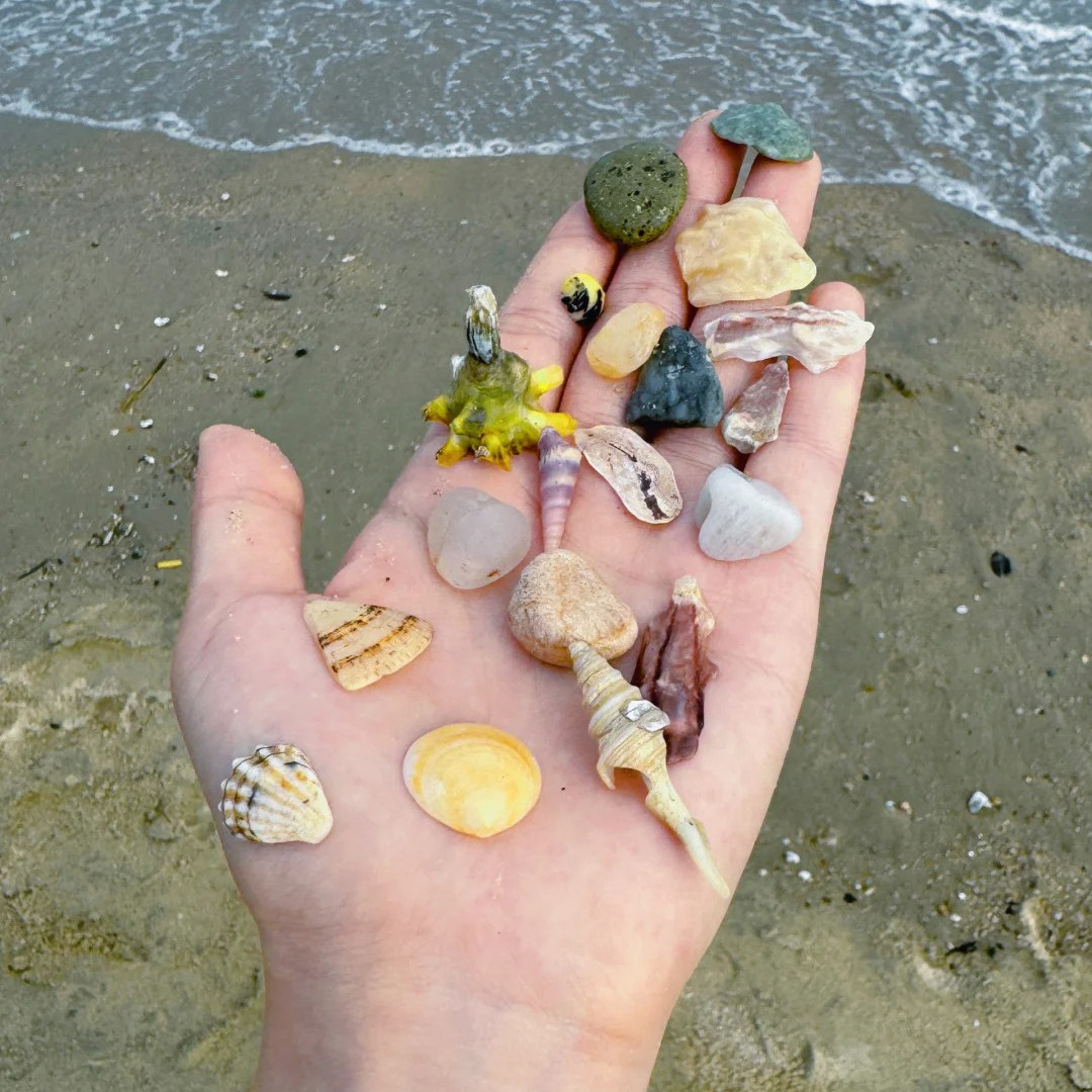 【体验小资帆船出海冲浪邂逅海豚】厦门旅游市区环岛路赶海抓螃蟹