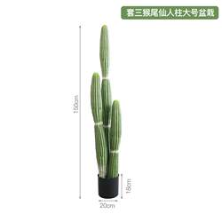 Nordic simulated cactus measuring ruler potted cactus window fake green plant tropical plant column living room decoration ornaments