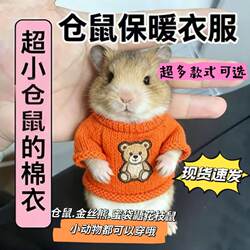 Special New Year Clothes for Hamsters, Extra Small Size, Warm Cotton Clothes for Gerbils, Squirrels, Guinea Pigs, and Golden Hamsters