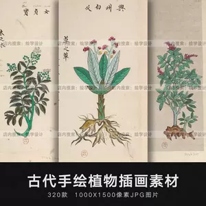 草本植物图鉴- Top 100件草本植物图鉴- 2024年5月更新- Taobao