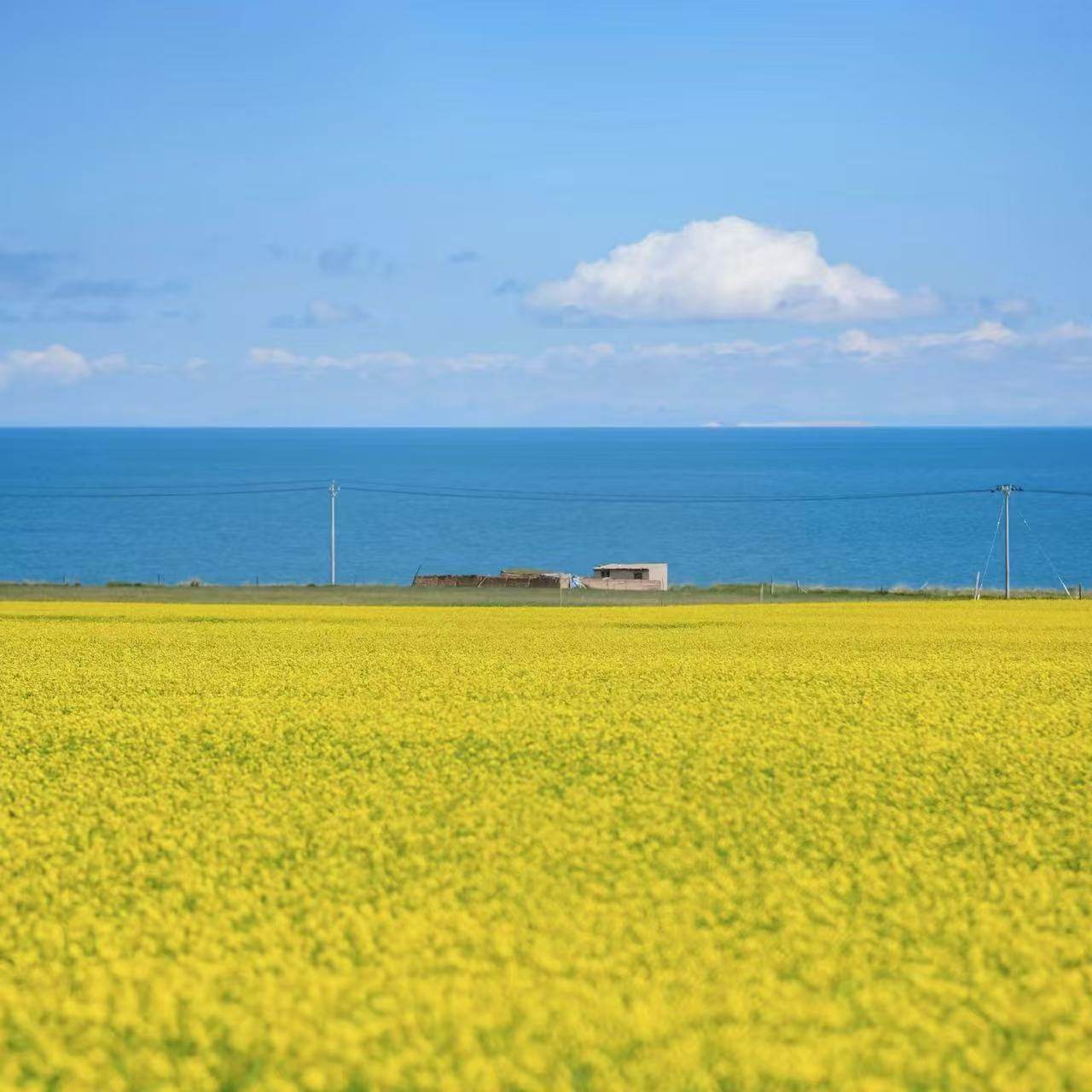 秋冬雪景甘青青海湖黑马河茶卡盐湖卓尔山祁连山5天4晚纯玩私家团