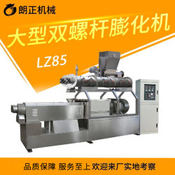 Leisure puffed small food machinery and equipment production line puffing video processing equipment twin-screw extruder