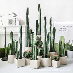 Nordic simulated immortal pillars large floor-standing tropical desert green plant measurement ruler fake cactus potted window decoration