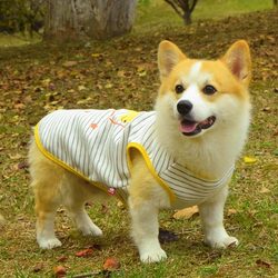 Pet Spring and Summer Dog Clothes Corgi Shiba Inu Bichon Teddy Thin Cool Cute Trendy New Puppy Vest