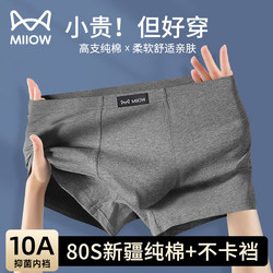 Catman Men's Underwear, Men's Pure Cotton High-End Brand, 100% Authentic, 2026 New Style, Boys' Boxer Briefs