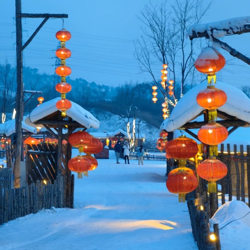 沈阳故宫、张学良旧居、怪坡滑雪、关东影视城、沈阳虎园五日游