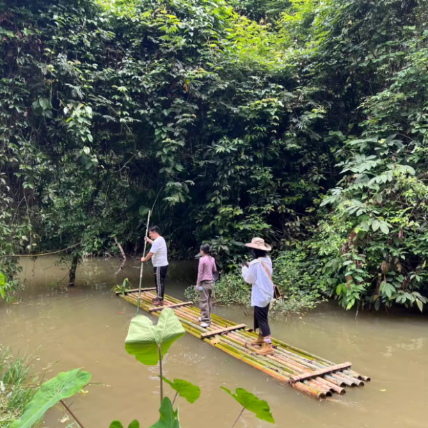 西双版纳基诺山雨林徒步一日游 2-6人亲子团 树降秋千竹筏雨林餐