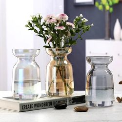 High-End ins Style Transparent Glass Small Vase Ornament for Living Room Flower Arrangement, Hydroponics, Dried Flowers, Fresh Flower Decoration, Simple Design