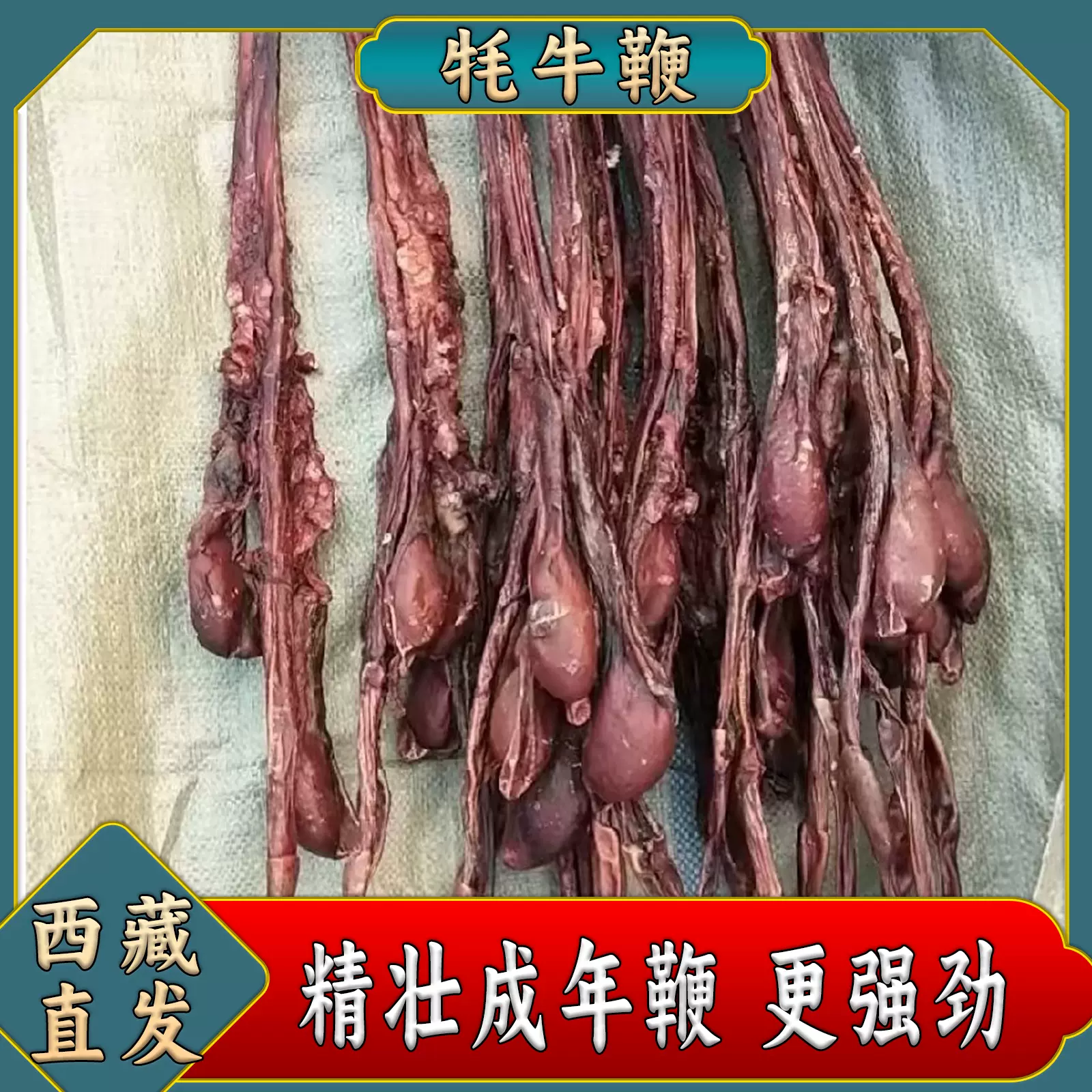 西藏特级牦牛鞭正宗自然风干带睾丸成年壮牛公牛鞭泡酒