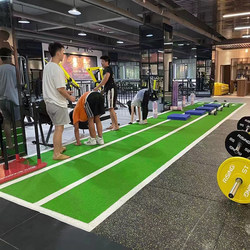 Gym Personal Trainer Lawn Sled Track Kindergarten Artificial Outdoor Simulated Plastic Fake Turf Mat