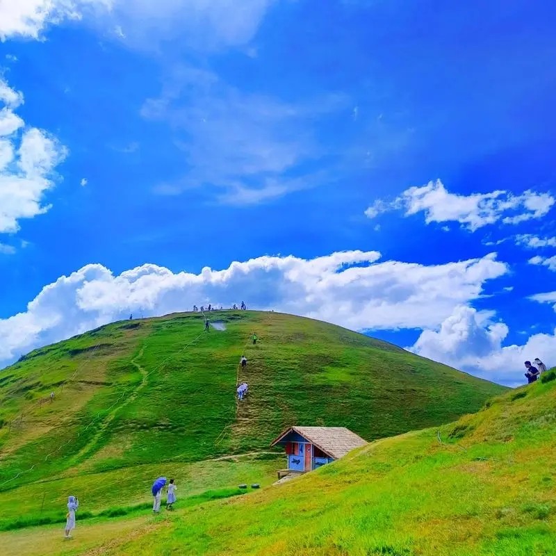 郴州3日游|小团,仰天湖‖五指峰‖高椅岭‖东江湖‖飞天山‖白廊