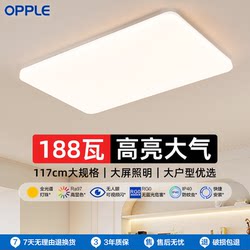 Op Lighting Led Extra-Large Ceiling Light for Living Room, Simple Self-Built House Villa 1.2m Lighting Fixtures Bedroom Light