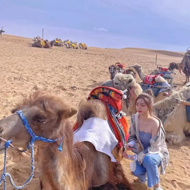 银川出发+中卫(4天3晚)腾格里五湖穿越+沙漠露营+纯玩亲子包车