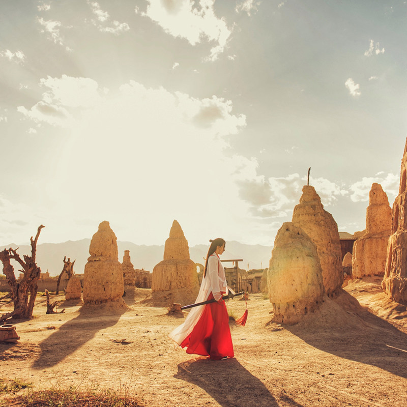 宁夏银川一日游影视城西夏陵岩画含门票纯玩无购物舒适包车小团