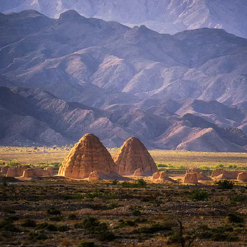 宁夏银川一日游影视城西夏陵岩画含门票纯玩无购物舒适包车小团