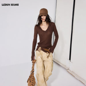 LEDIM WANG绵羊毛V领长袖毛衣女款2026秋季新款棕色修身薄款上衣