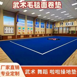 Martial Arts Floor Mat, Martial Arts Training Mat, Dance Cheerleading Sports Roll Mat, Martial Arts Hall Floor Mat, Martial Arts Training Carpet