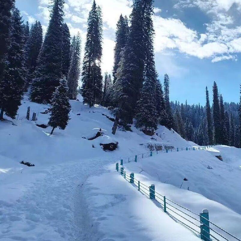 新疆旅游库尔德宁那拉提赛里木湖 伊犁起止3日游