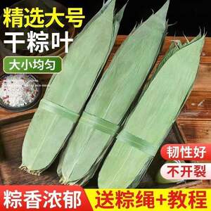
Dried Zongzi Leaves Large Dried Palm Leaves Large New Leaves Zongzi-wrapped Leaves Dragon Boat Festival Home Commercial Zongzi Leaves Wholesale