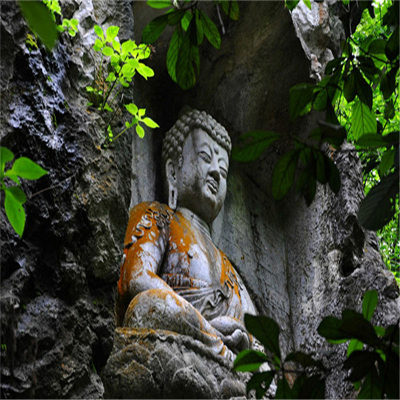 纯玩团//乌镇西栅+杭州宋城+西溪湿地+灵隐飞来峰+苏州园林4日游