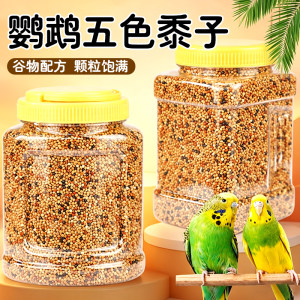 
Black Phoenix, tiger skin, peony parrot bird food, five-color millet mixed grain grain, special feeding feed for small and medium-sized parrots