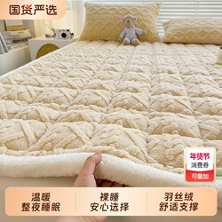 Class a Milk Velvet Soft Mattress, Thickened Mattress Pad, Winter Tatami Single Bed Base, Coral Fleece Mattress Foldable