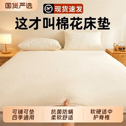 Xinjiang Cotton Mattress Soft Pad Bedroom Mat Dormitory Student Single Rental Apartment Bed Mattress Home Use