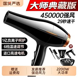 Electric Hair Dryer for Home Use, Negative Ion, Quick-Dry, Strong Wind, 2400W, Silent, Hair Care, Suitable for Hair Salons and Dormitories