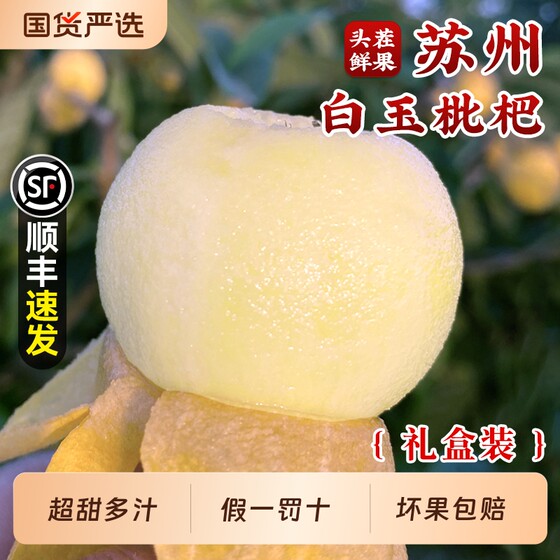 
Authentic Suzhou Dongshan White Jade Loquat Fruit Seasonal Fresh Pregnant Women Fruit White Loquat 5*0.5kg SF Gift Box