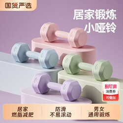 Dumbbells for Women, Home Fitness Equipment, Arm Slimming Yoga Kettlebell-Style Small Dumbbells for Arm Muscle Training, Rubber-Coated, Suitable for Men