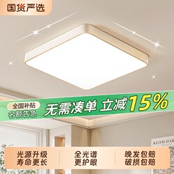 Bedroom Ceiling Light, Stylish Main Light, 2026 New Model Led Round Light Fixture Set, Living Room Eye-Protection Lighting Source